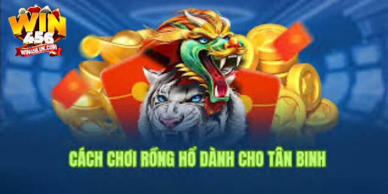 Cập nhật cách chơi Rồng hổ Win456 đơn giản và nhanh chóng.